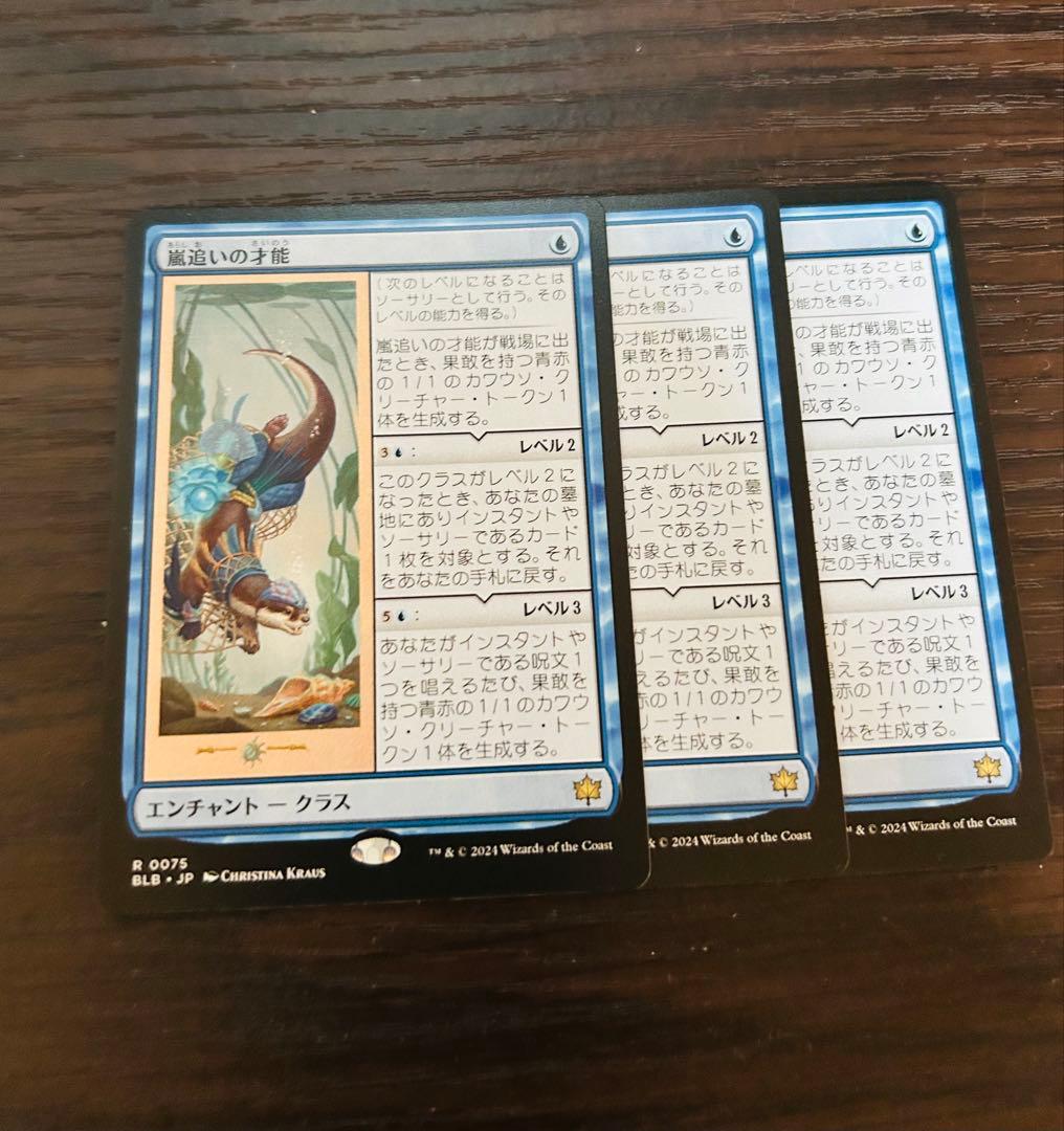 嵐追いの才能 3枚セット　日本語