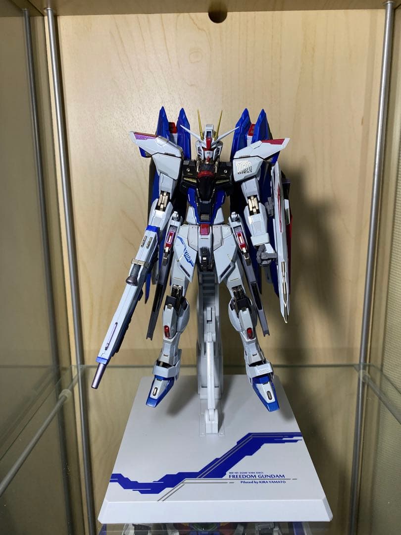 （最安値）メタルビルド　フリーダムガンダム　concept 2