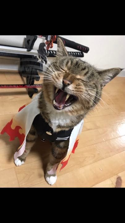 ちょこんページ