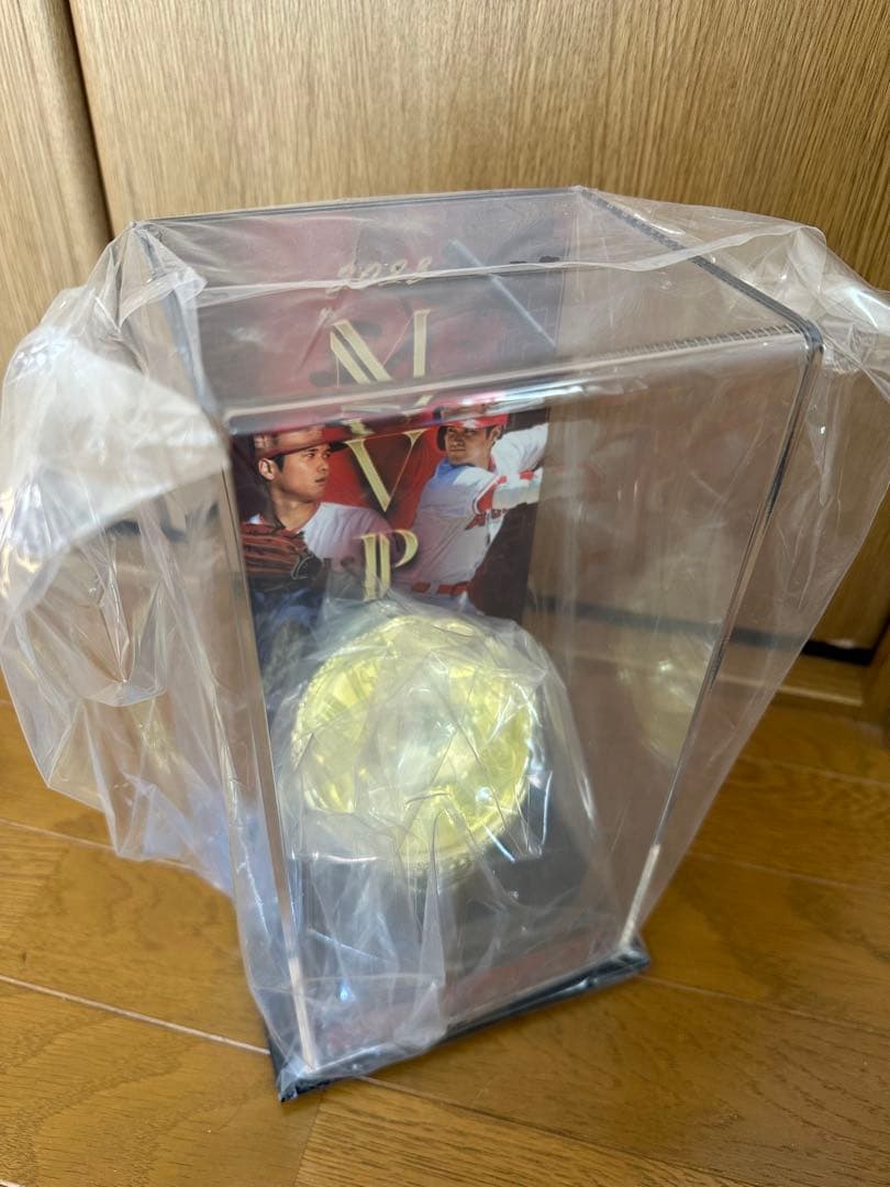 大谷翔平 エンゼルス 2023 AL MVP記念 ボールディスプレイケース