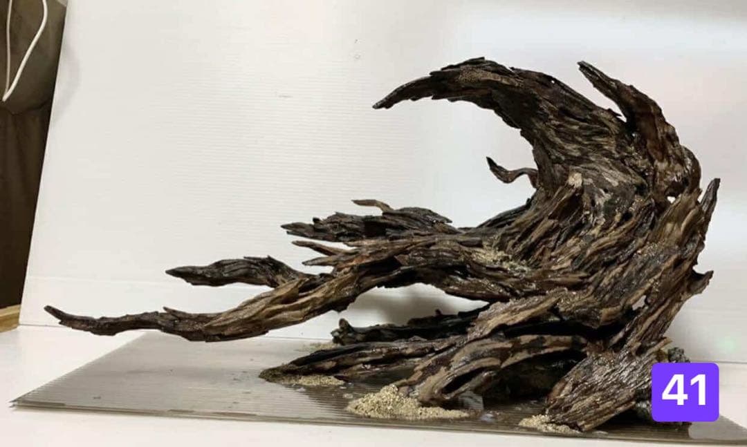 TTD 【⭐︎ こま様⭐︎】【美品・数量限定】