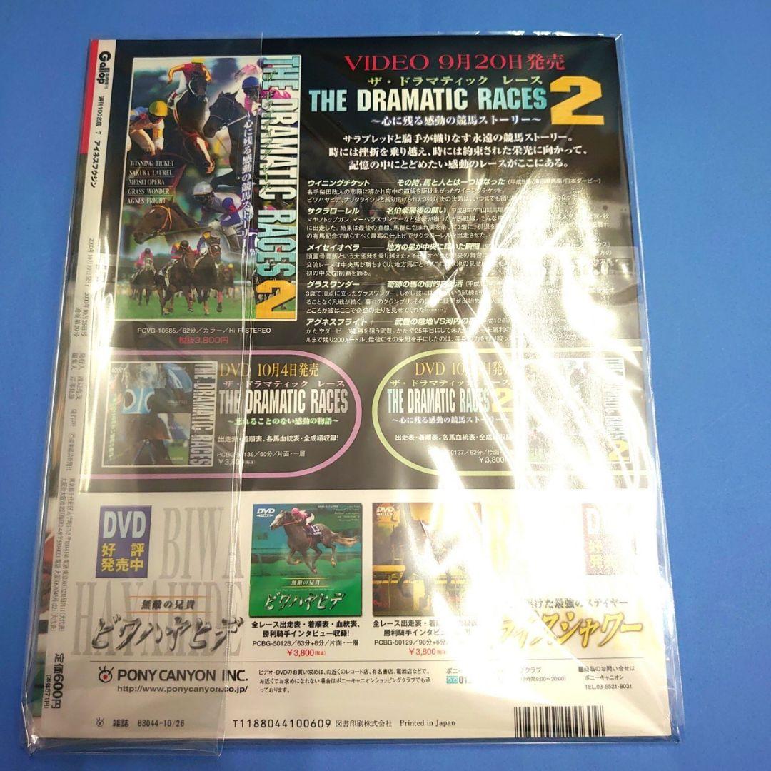 【稀少】アイネスフウジン ウマ娘 競馬ぬいぐるみ アイドルホース 馬AVANTI