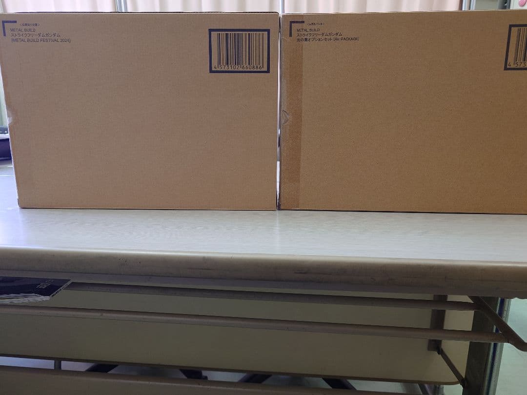 ストライクフリーダムガンダム ＆光の翼