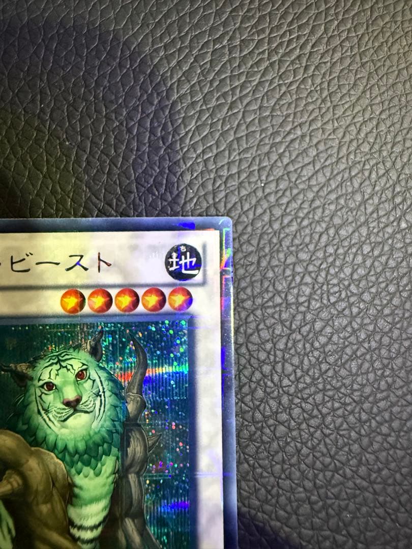 ナチュル・ビースト　dtc