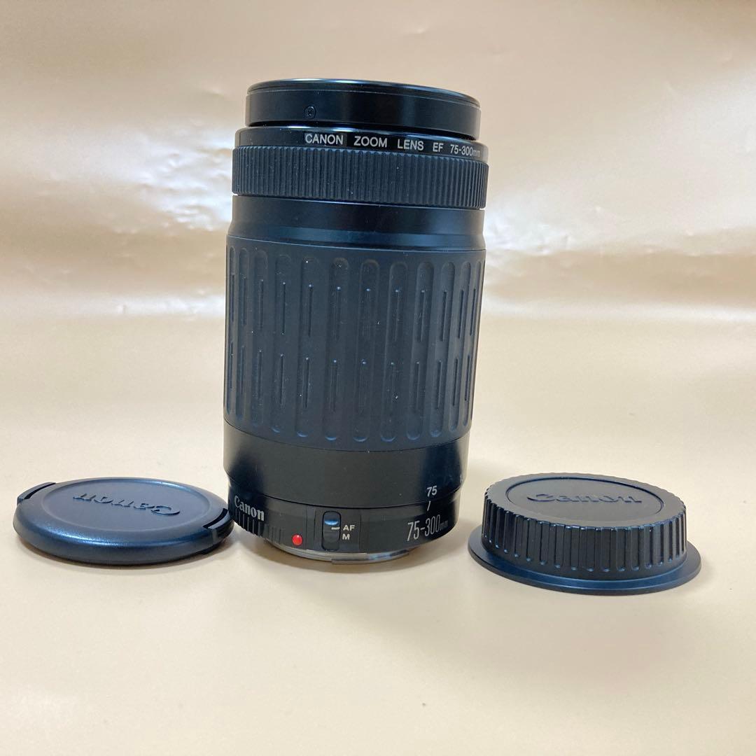 ★望遠レンズ★デジタル一眼レフカメラ Canon EF75-300㎜