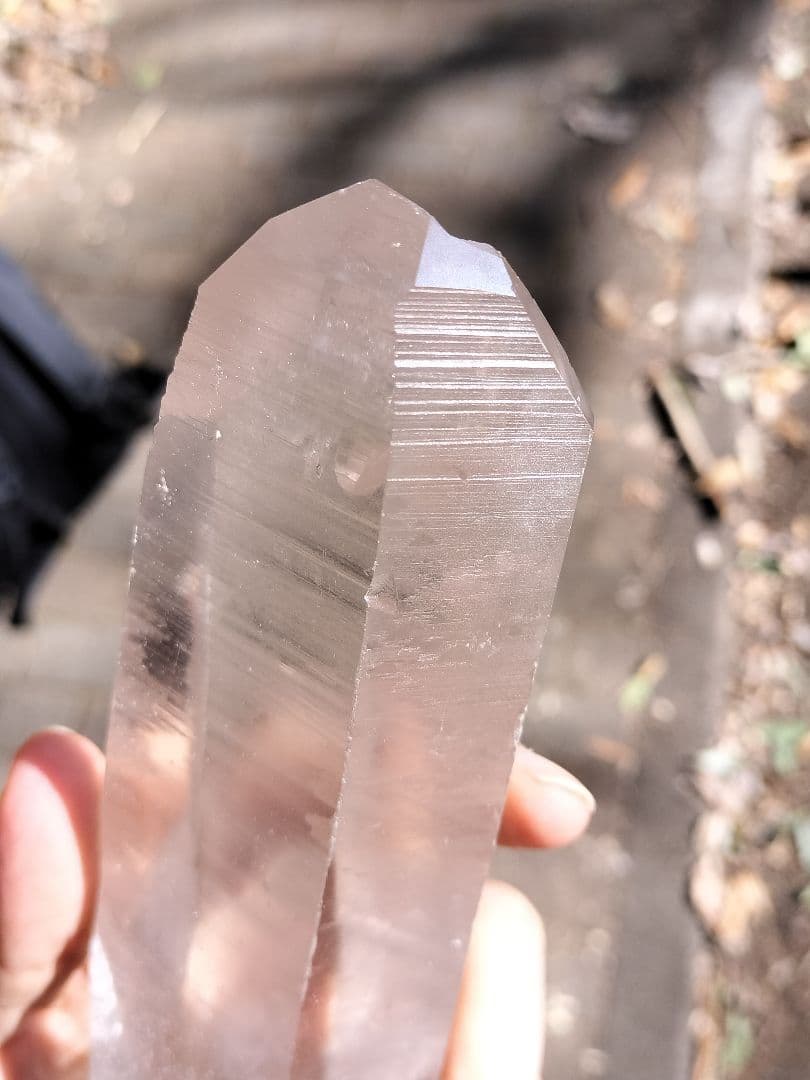 【素晴らしい共鳴】レムリアンシード