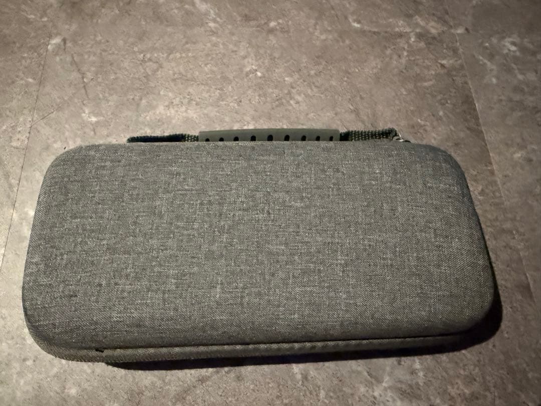 Nintendo Switch Lite グレー(専用ケース付き)