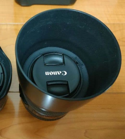 レンズ(ズーム) Canon EF 70-300mm F4.5-5.6 DO IS