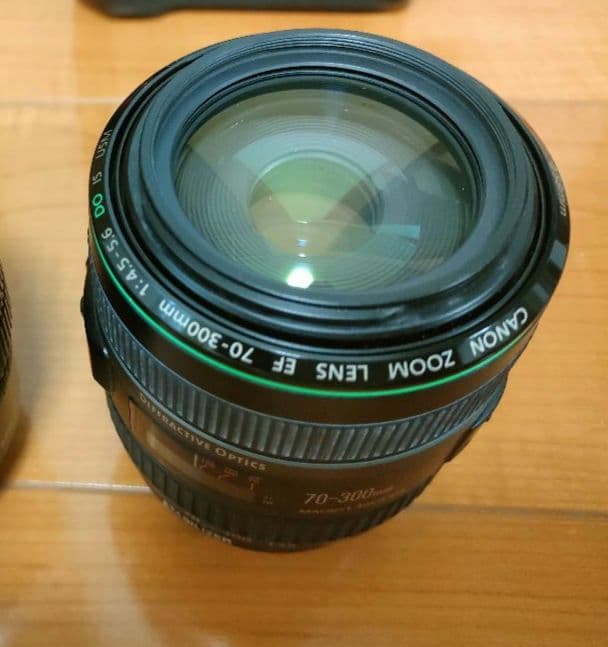レンズ(ズーム) Canon EF 70-300mm F4.5-5.6 DO IS