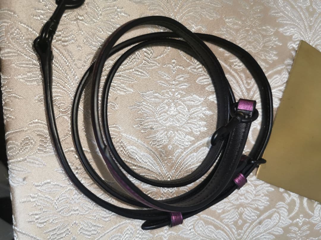 希少　コーチ　COACH　メタリック　パール　2WAY　ショルダー　ハンドバッグ