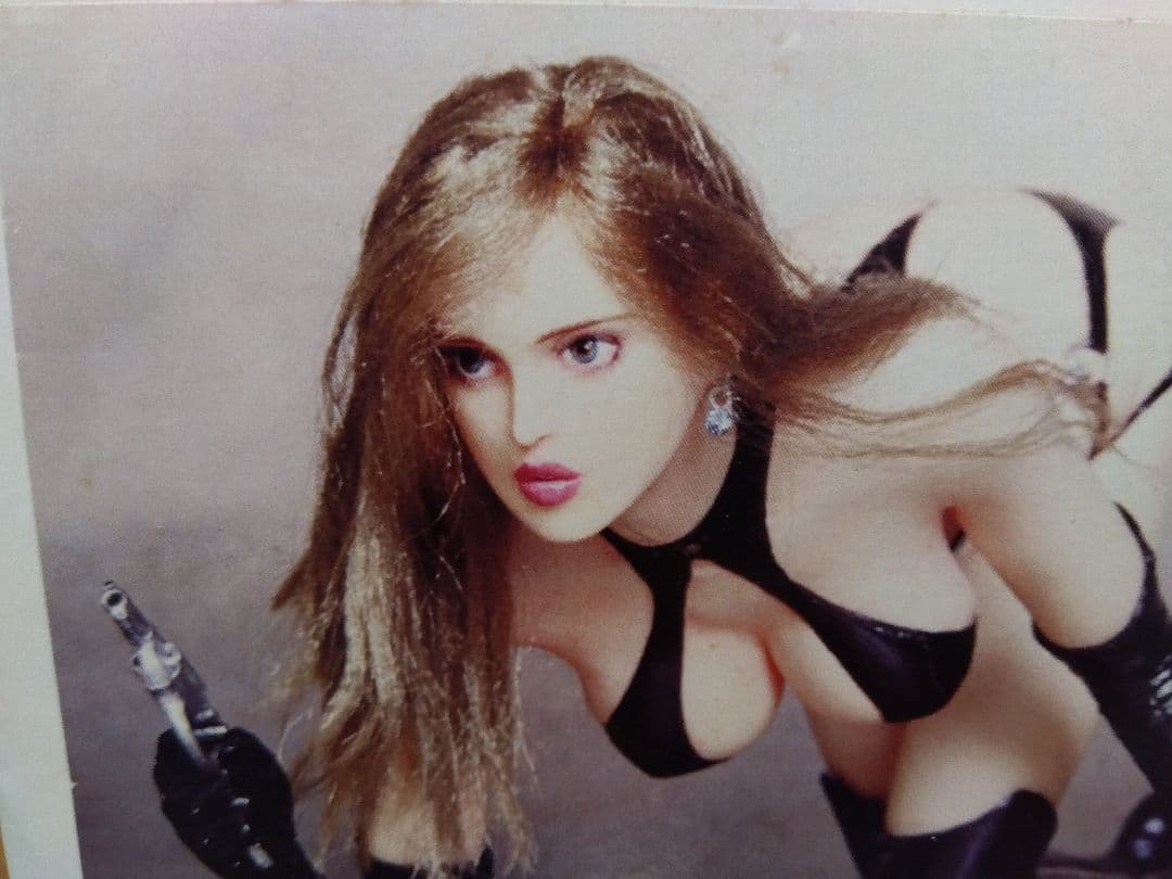 ●ファンタジーフィギュア フェリシア・アンドレス ガレージキット 矢沢俊吾