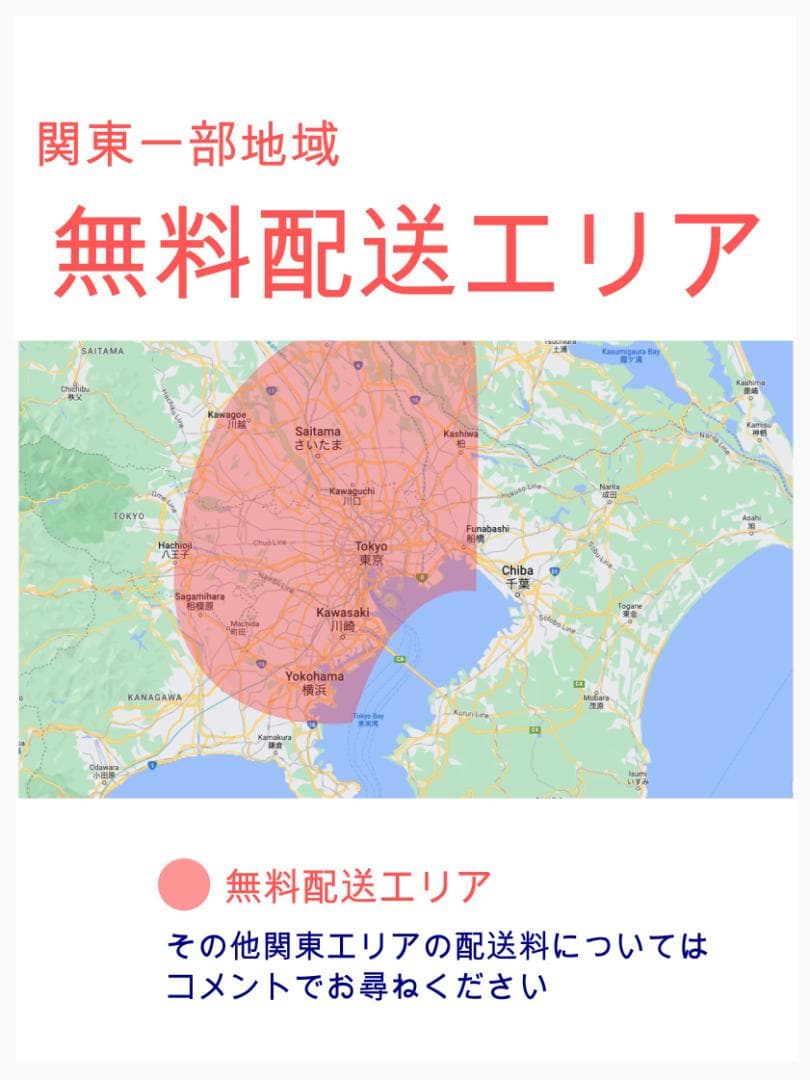 限定価格 大容量No1 パナソニックギュット子供乗せ電動アシスト ZH2709