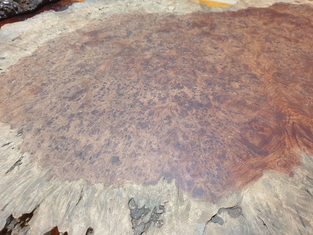 アンボイナバール　花梨　瘤　未塗装　厚4.5cm　銘木　座卓　衝立　花台　無垢