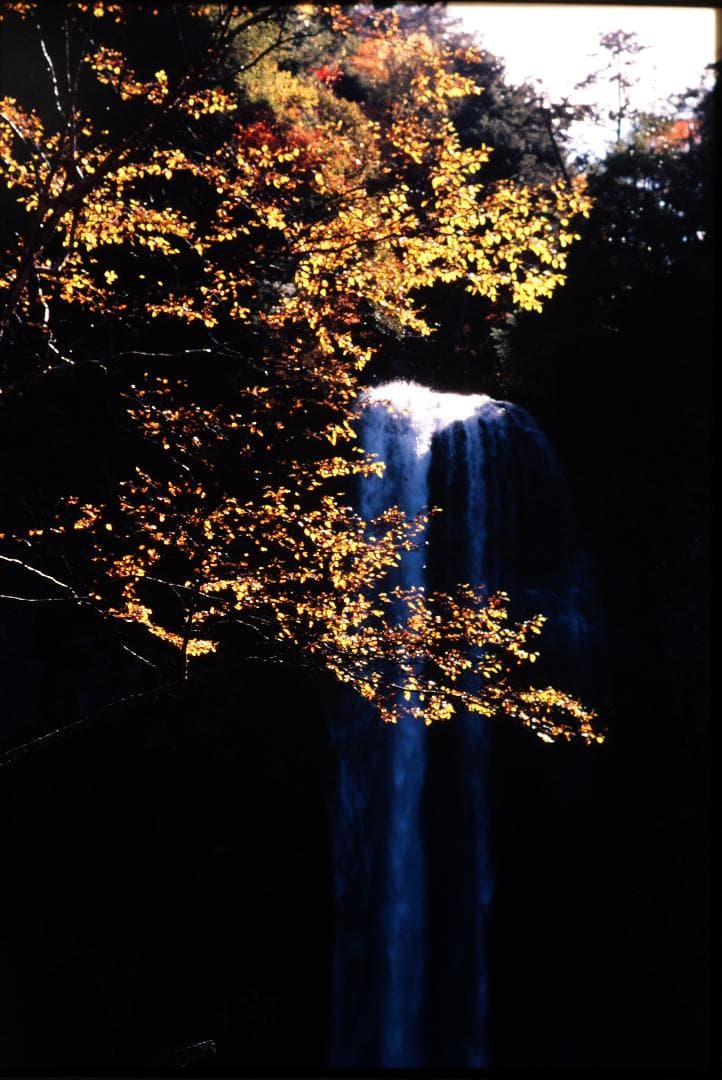 “”アナログ“”　自然風景写真（フレーム付き）　　　　フィルム撮影・銀塩プリント