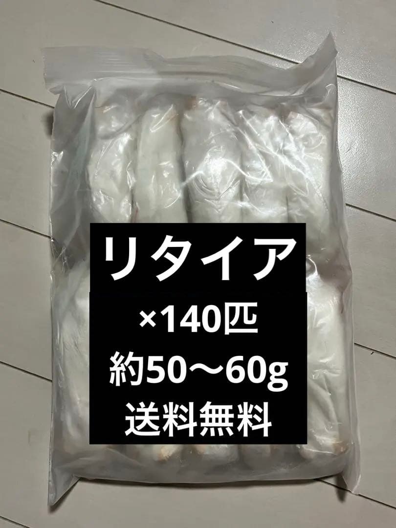 冷凍マウス　リタイア