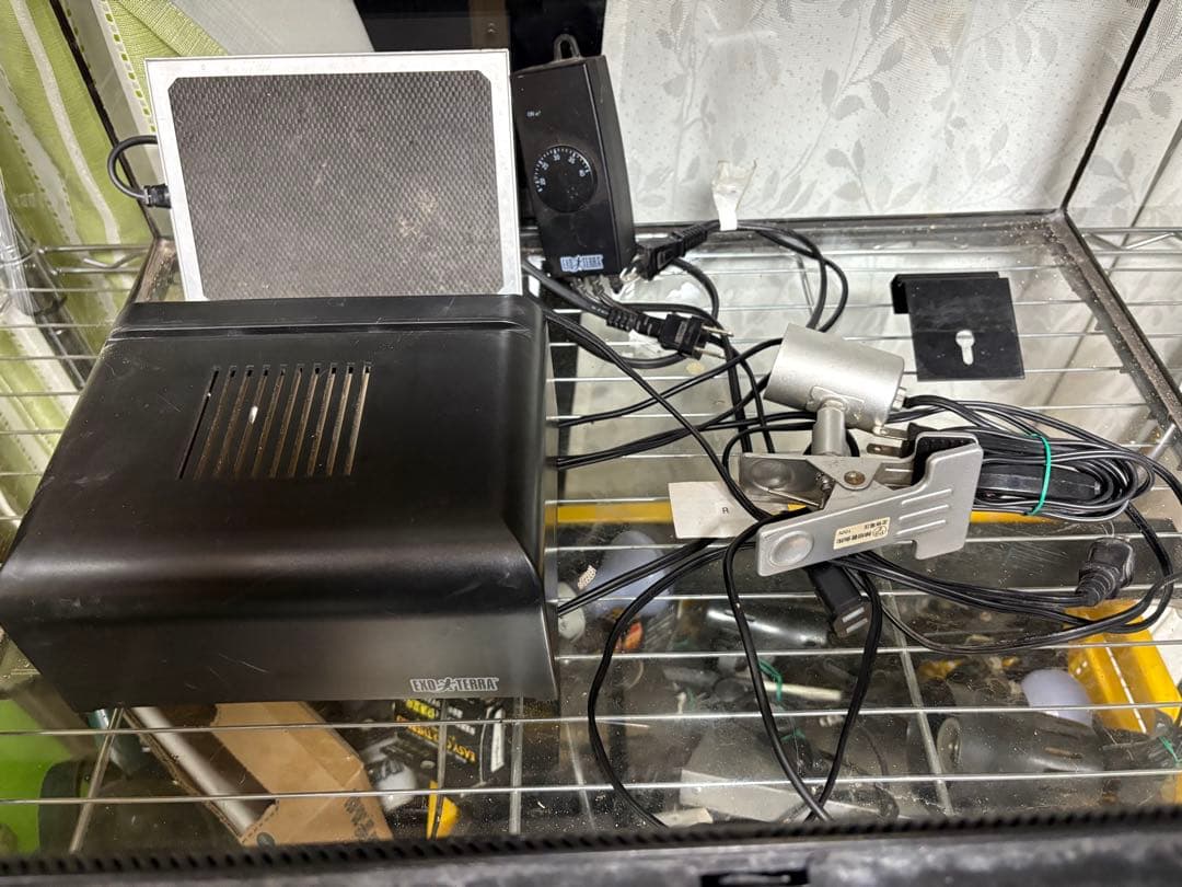 りおちゃん専用エキゾテラ6045