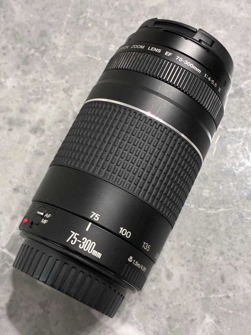 ⭐️外観美品⭐️Canon EF 75-300mm F/4-5.6 III