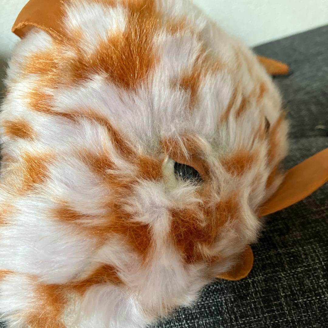  気難しいオレンジの魚