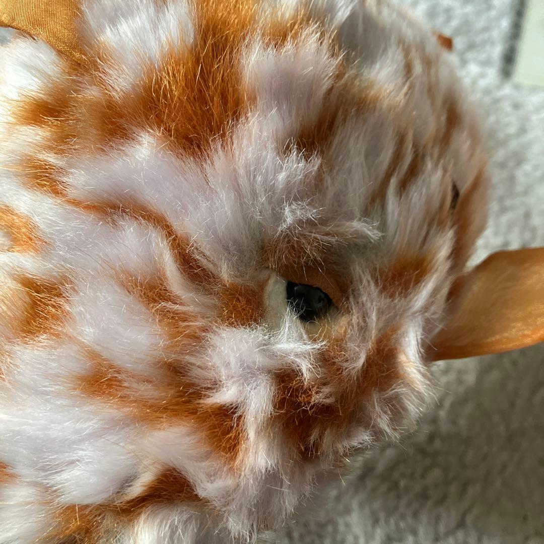  気難しいオレンジの魚