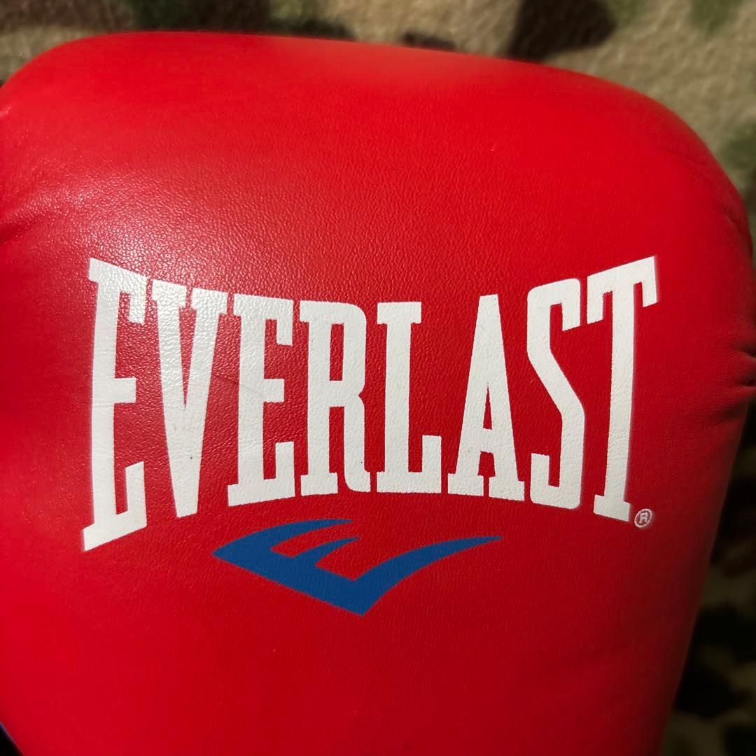 EVER LAST エバーラスト　グローブ　14oz 送料無料