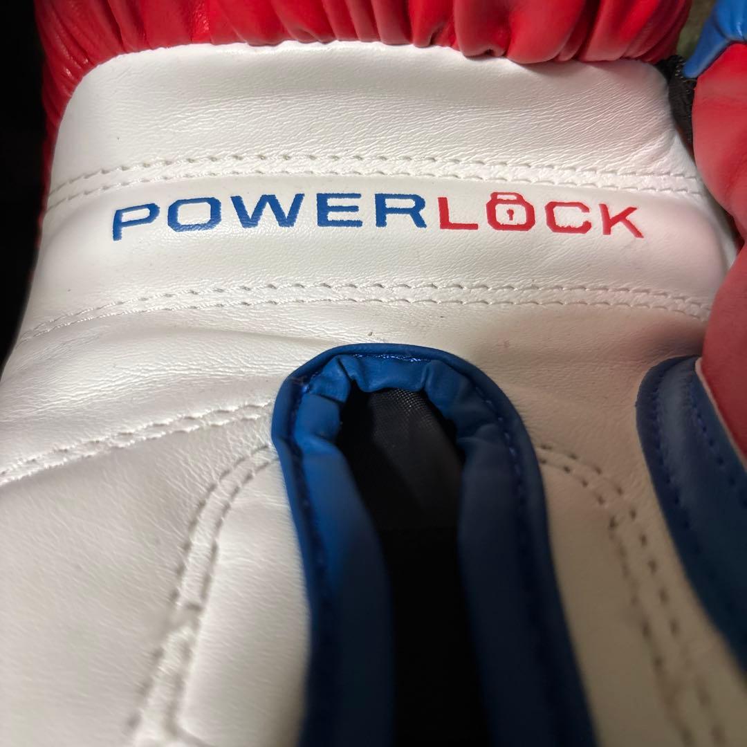 EVER LAST エバーラスト　グローブ　14oz 送料無料