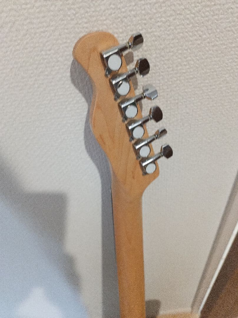 Bacchus Universe Series エレキギターテレキャスタータイプ