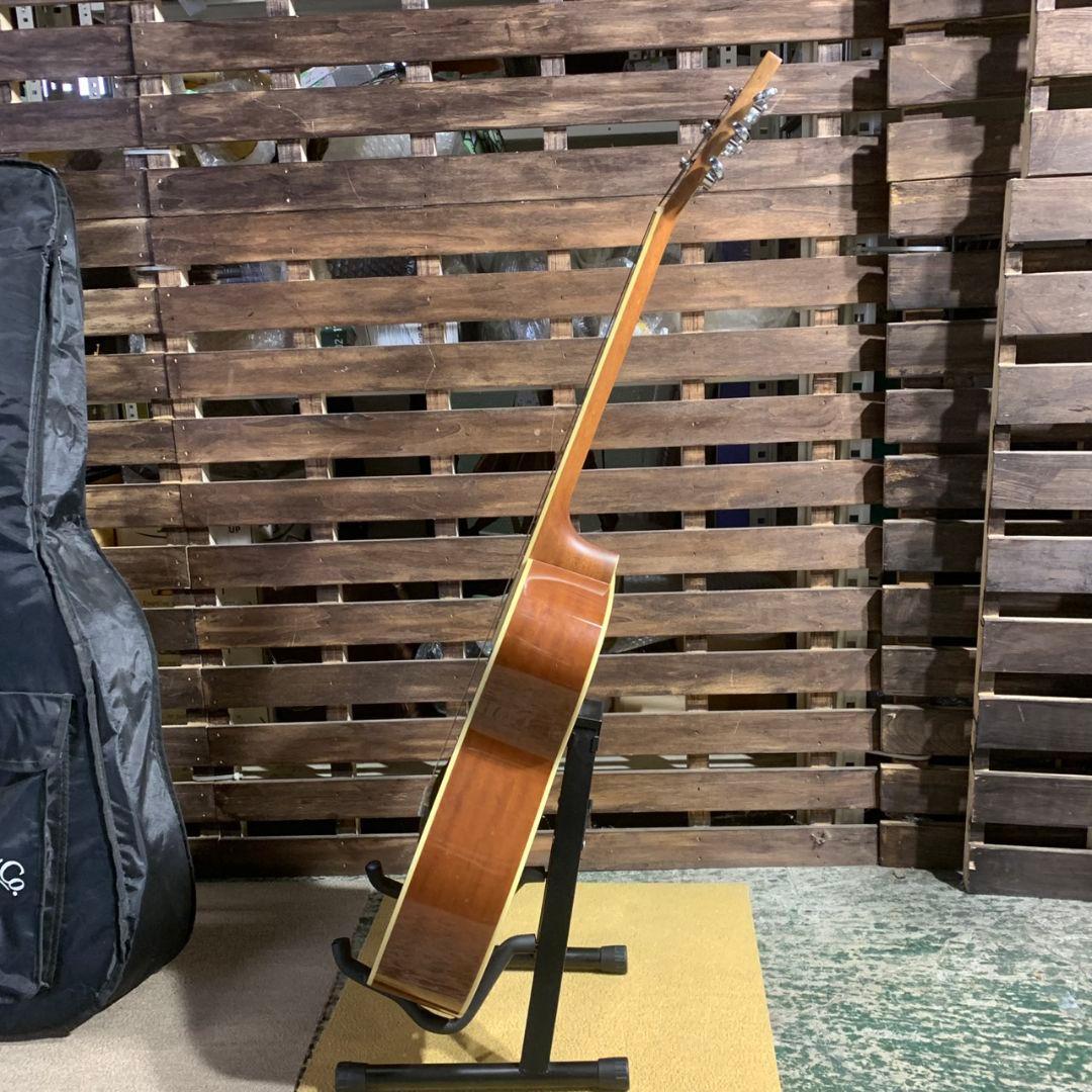 K003 STAFFORD ギター アコースティックギター SF-250F-N