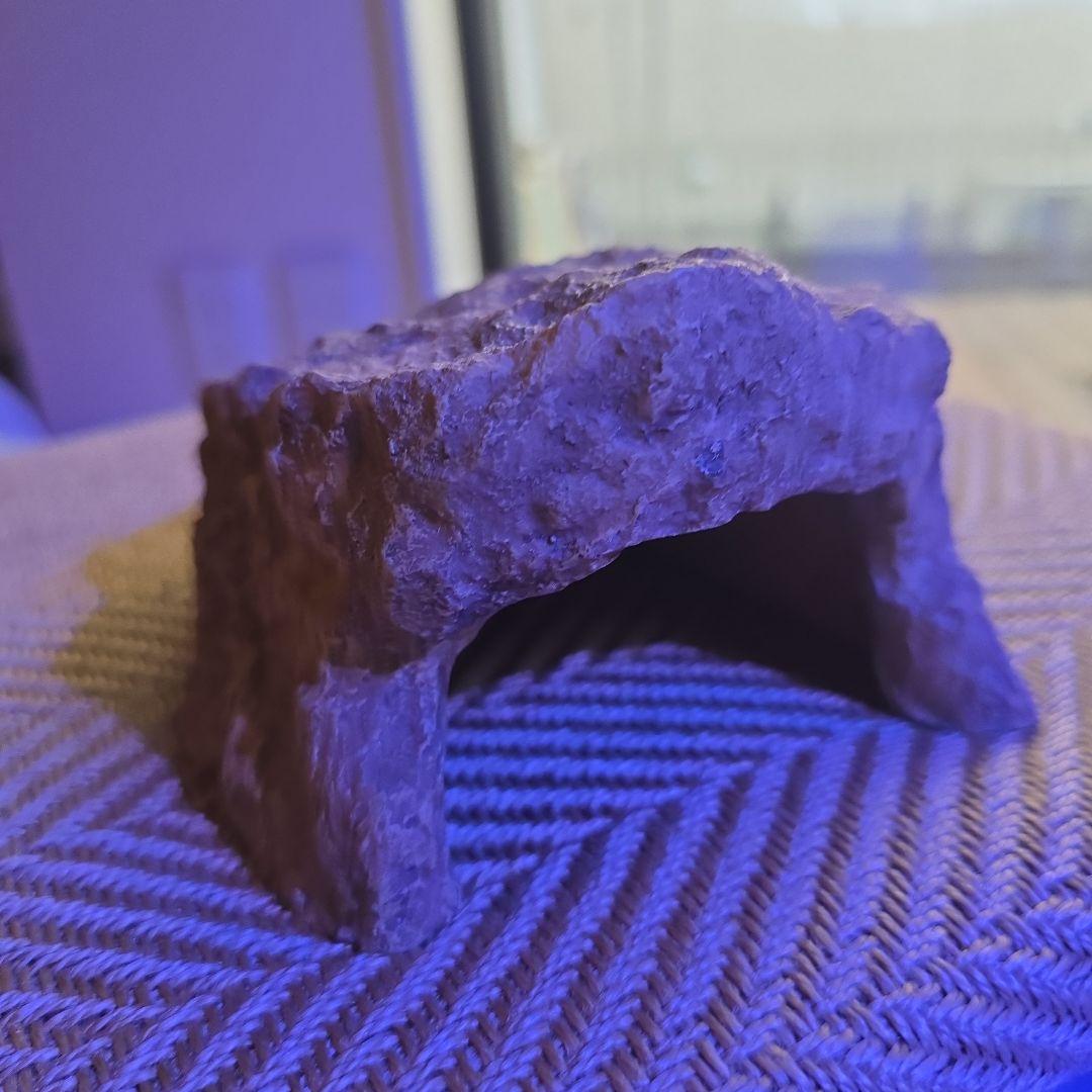 抹茶ラテエキゾテラ3030グラステラリウムメッシュフタ保温球付きほぼ