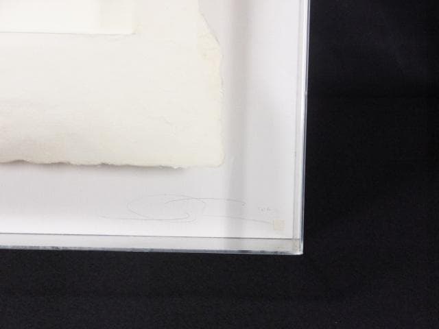 現代美術 井田照一　直筆サイン 作品証明書『垂直と地平線の間-昆虫』1205G