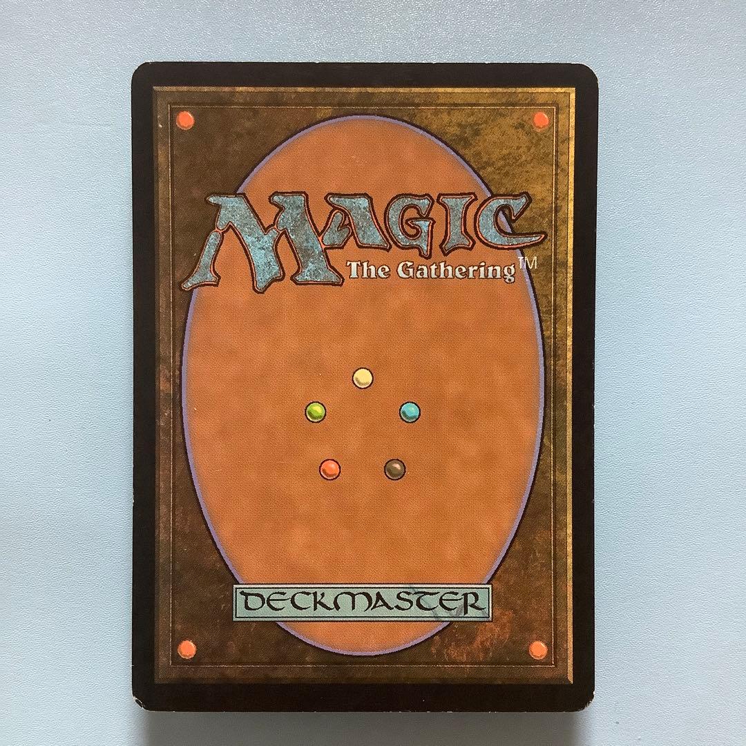 繁茂/Wild Growth  7ED日本語foil