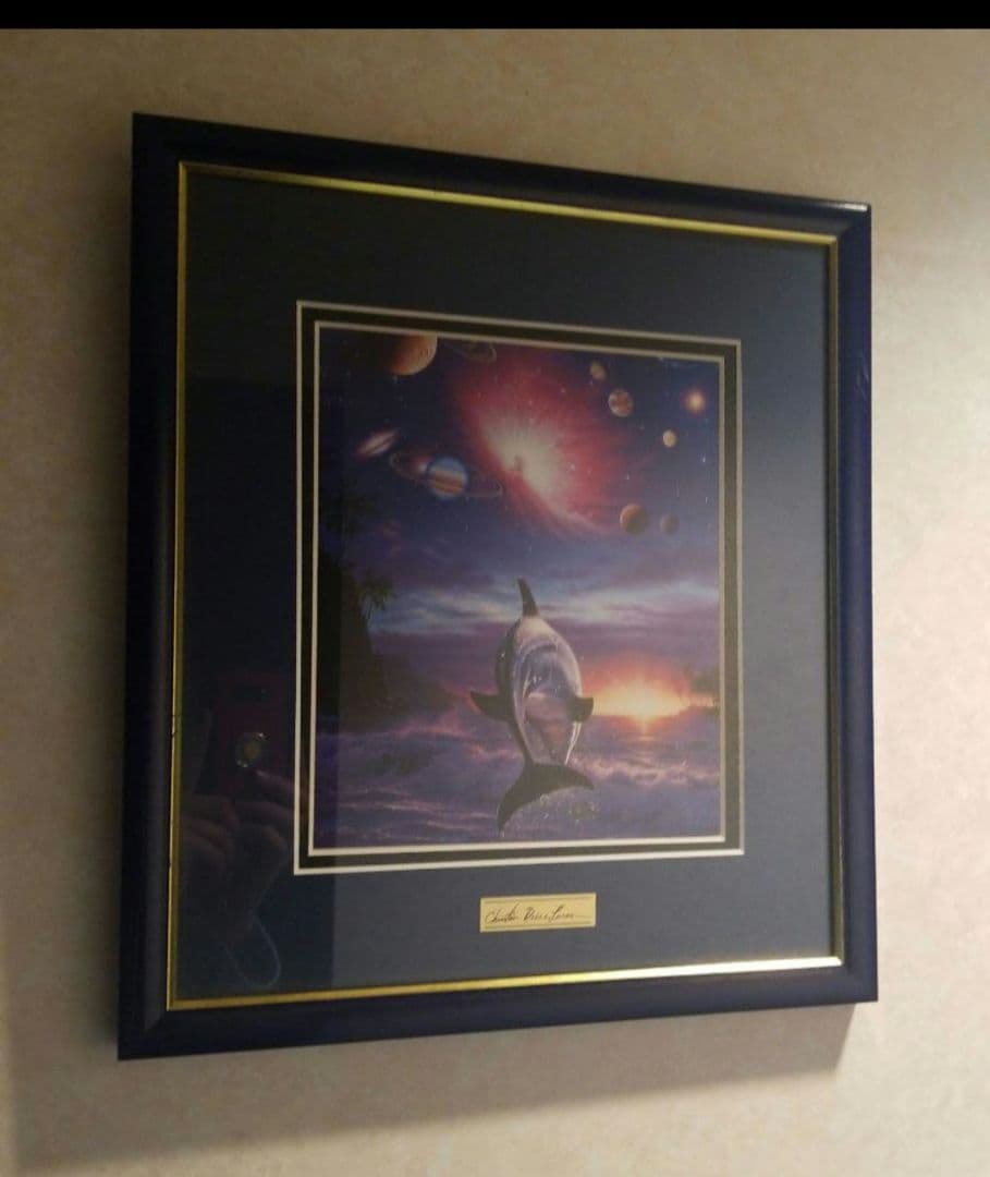 ラッセンイルカです