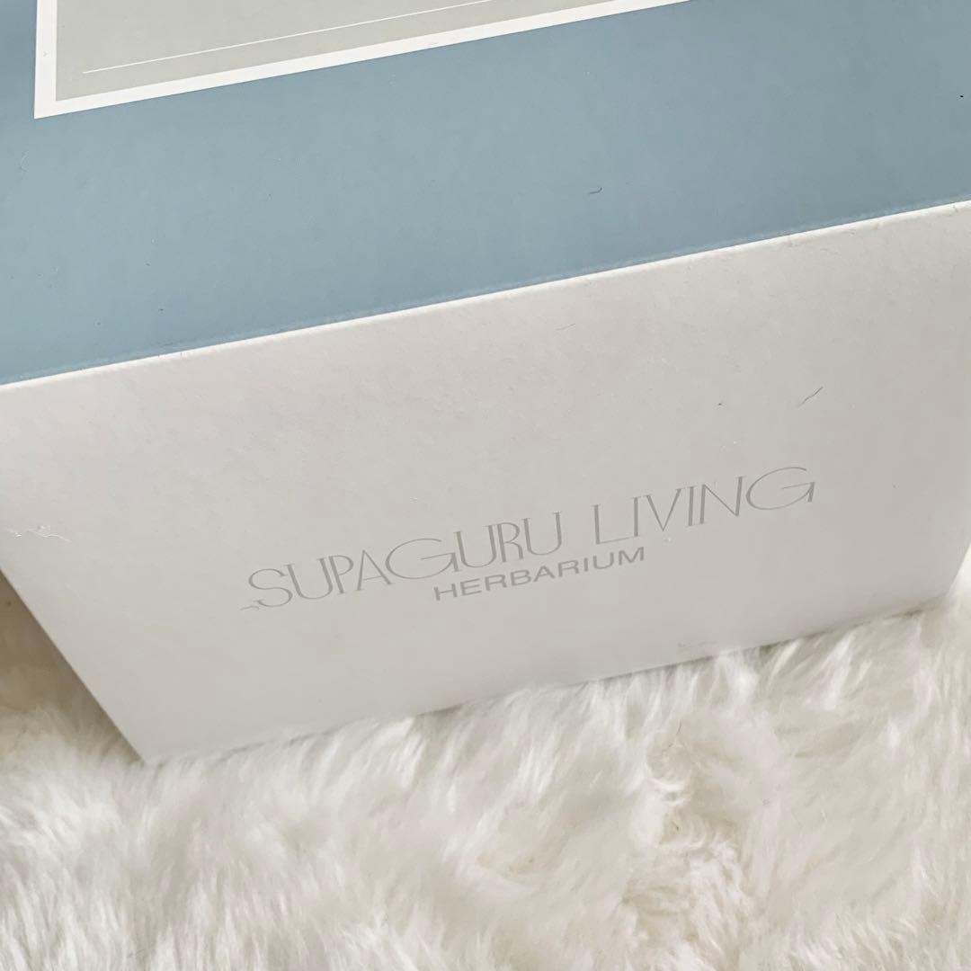 【APヘタリア】イギリス モデル ハーバリウム WORLD⭐︎STARS