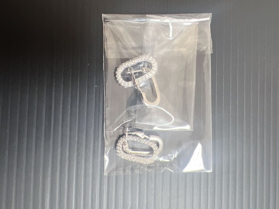 最終値下げ！【販売終了品：新品未使用】Rich Feeling 綱啓永ピアス