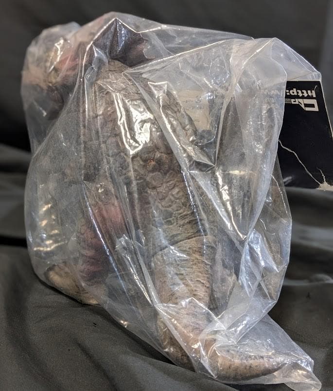 アギラ「ウルトラセブン」カプセル怪獣（ＣＣＰ）未開封ソフビフィギュア