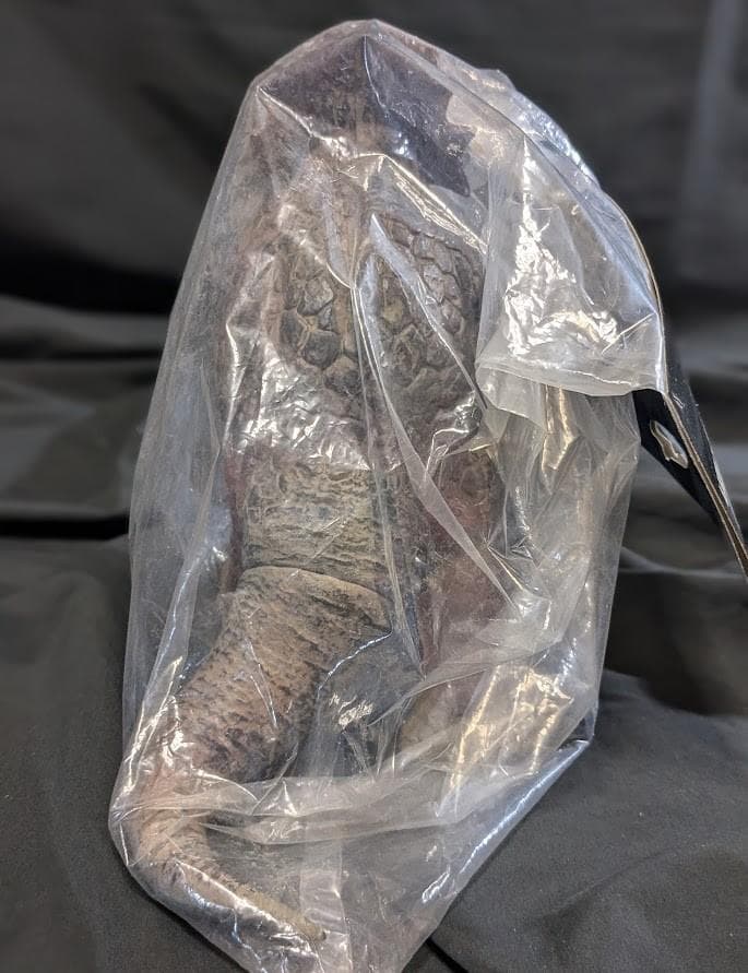 アギラ「ウルトラセブン」カプセル怪獣（ＣＣＰ）未開封ソフビフィギュア