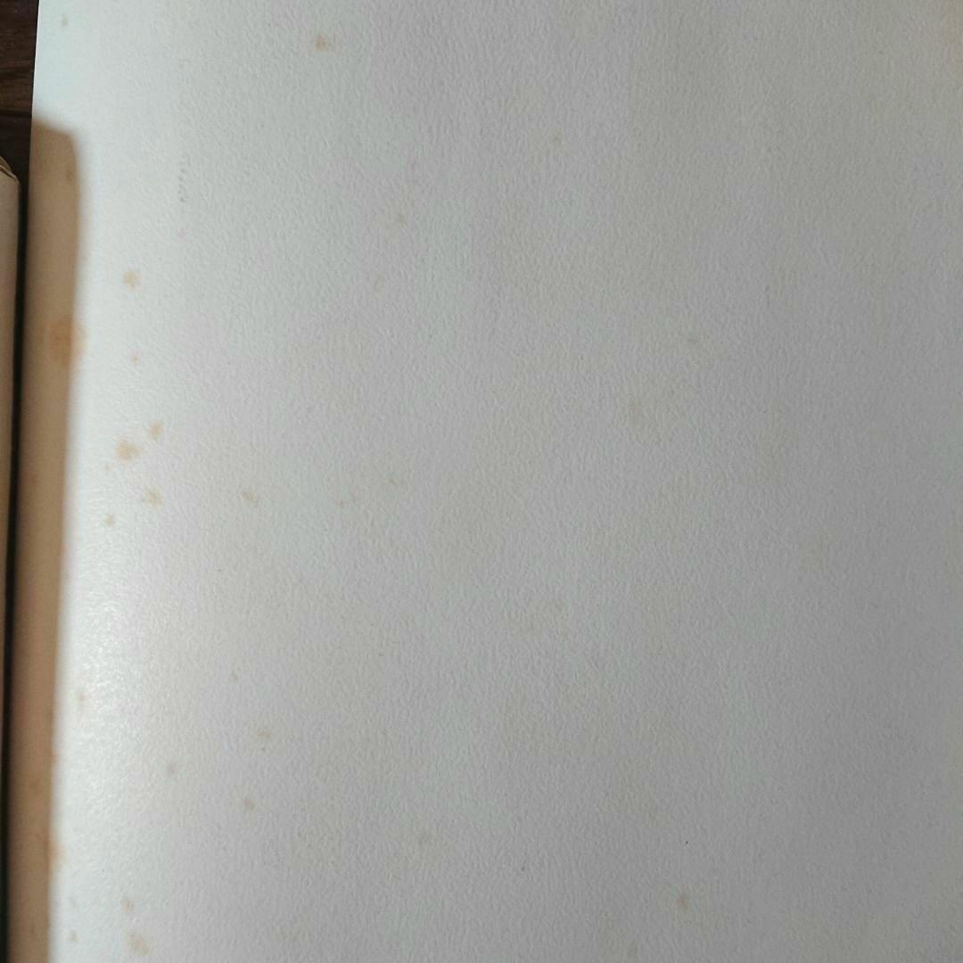 【未使用】【公式】 中森明菜 ポスター Ｂ１