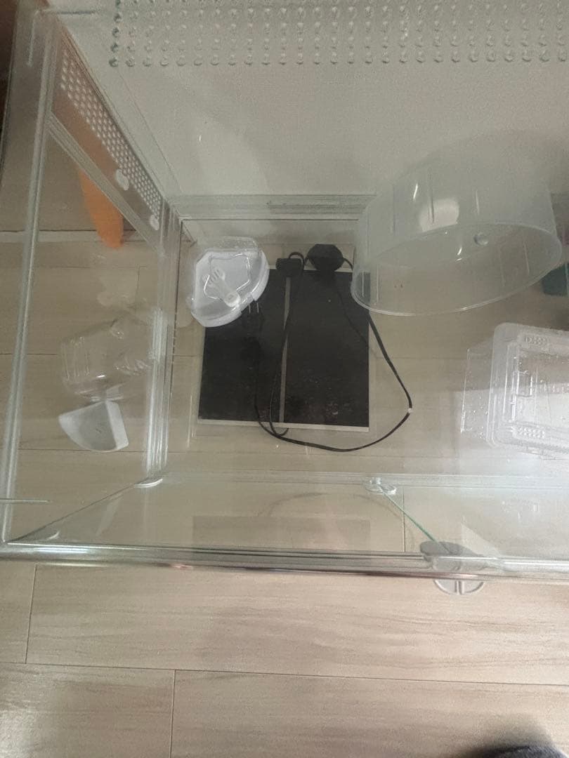 Gex グラスハーモニー600プラス　ハムスターケージパッケージ