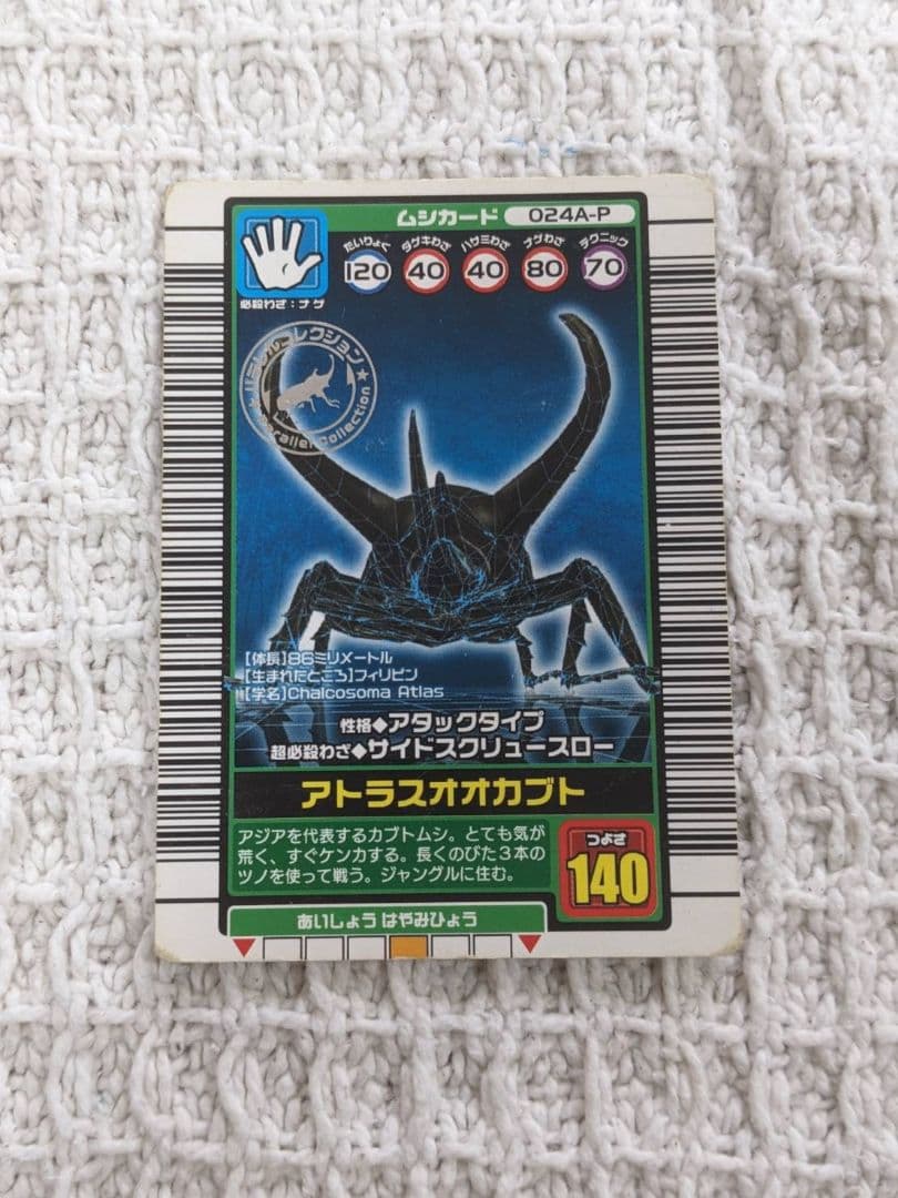 昆虫トレーディングカードセット