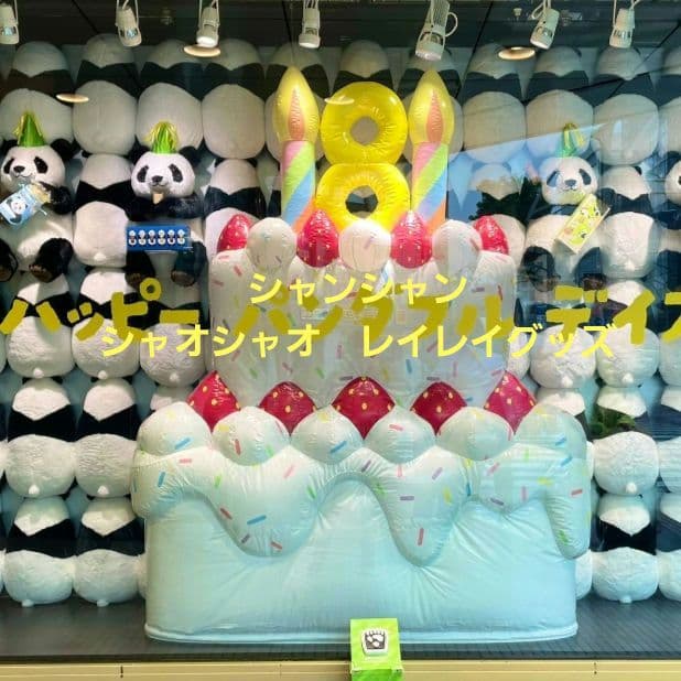 まとめ売り　シャンシャン　シャオシャオ　レイレイ　グッズ　クリアファイル