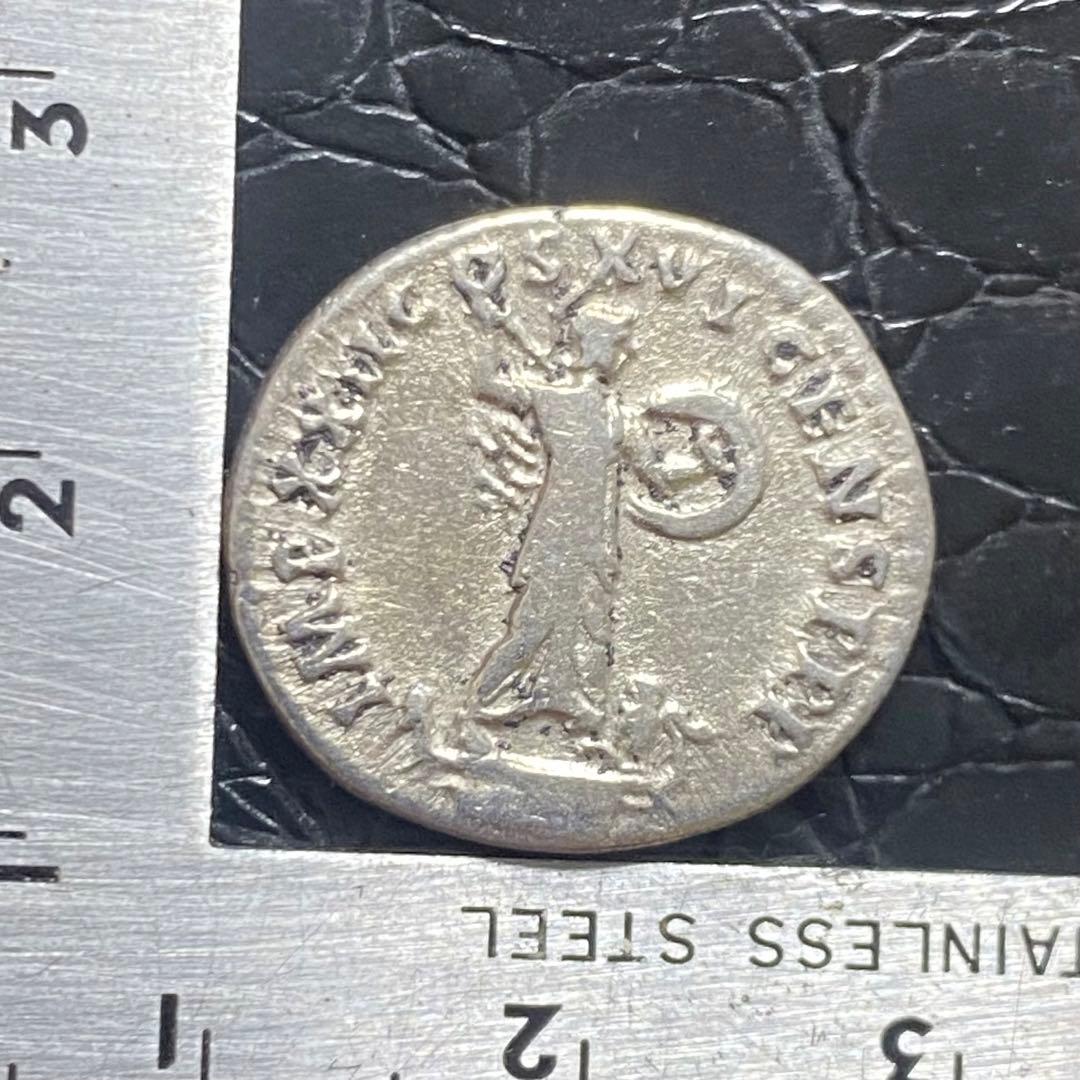 コレクション Ale