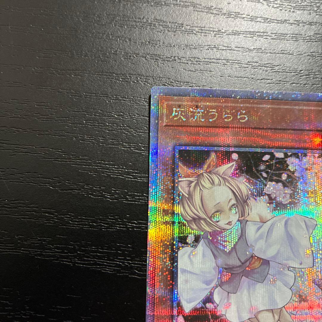 遊戯王　灰流うらら　25thシークレットレア2枚