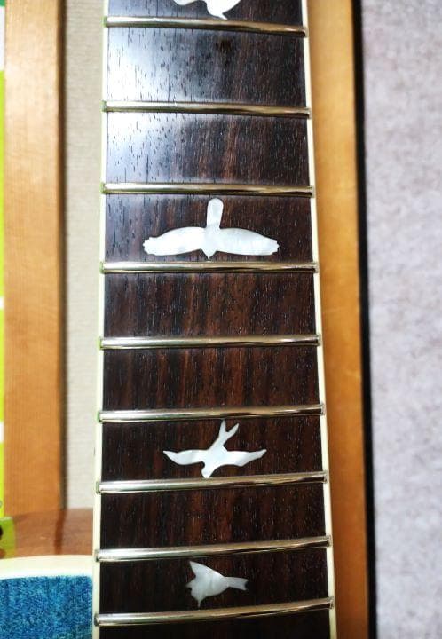 PRS SE ZACH MYERS　ザック・マイヤーズ モデル