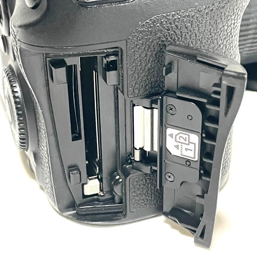 初心者も扱いやすい❣️ Canon EOS 7D Mark II 標準レンズ