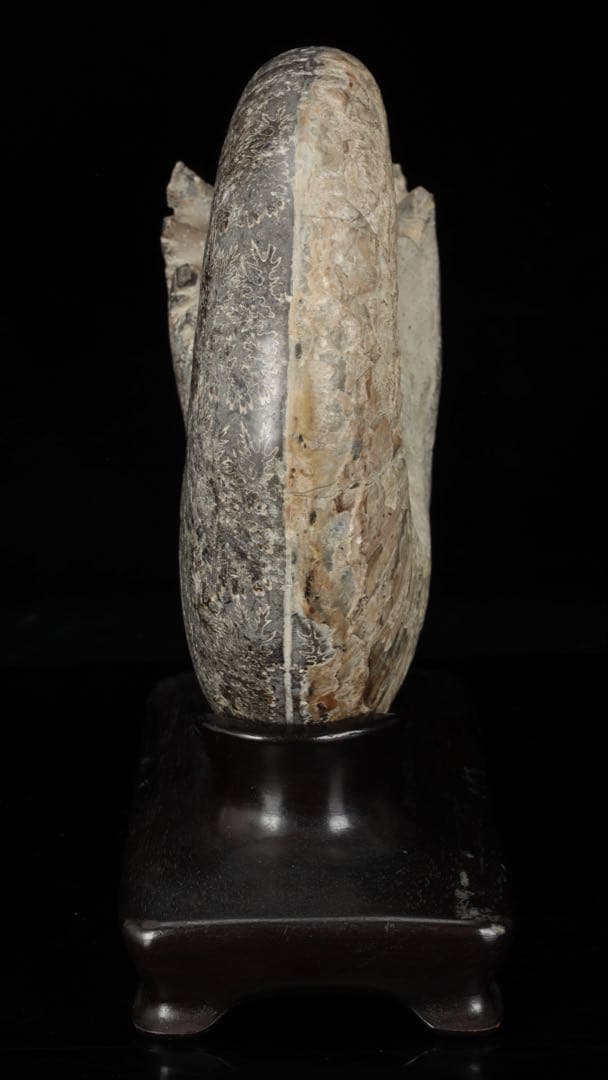 天然アンモナイト化石 重量3.2kg 台座付 古生物標本 鑑賞石 古美術 骨董品