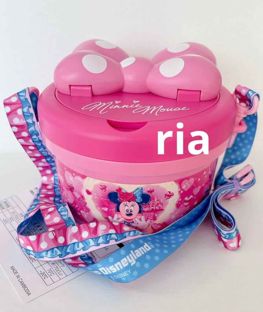 ディズニーランド　ミニー パルパルーザ ポップコーンケース
