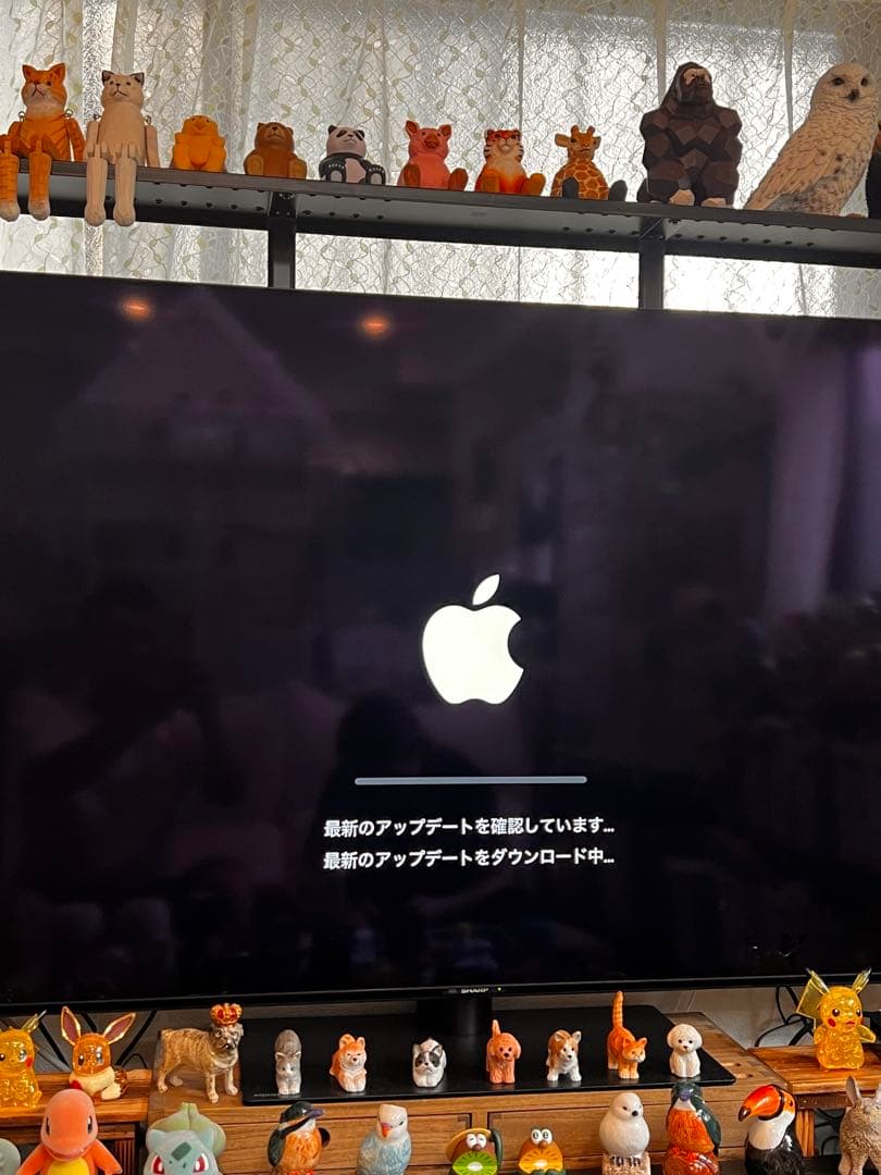 テレビ TUCTUANApple TV 4K 64GB)Pod mini