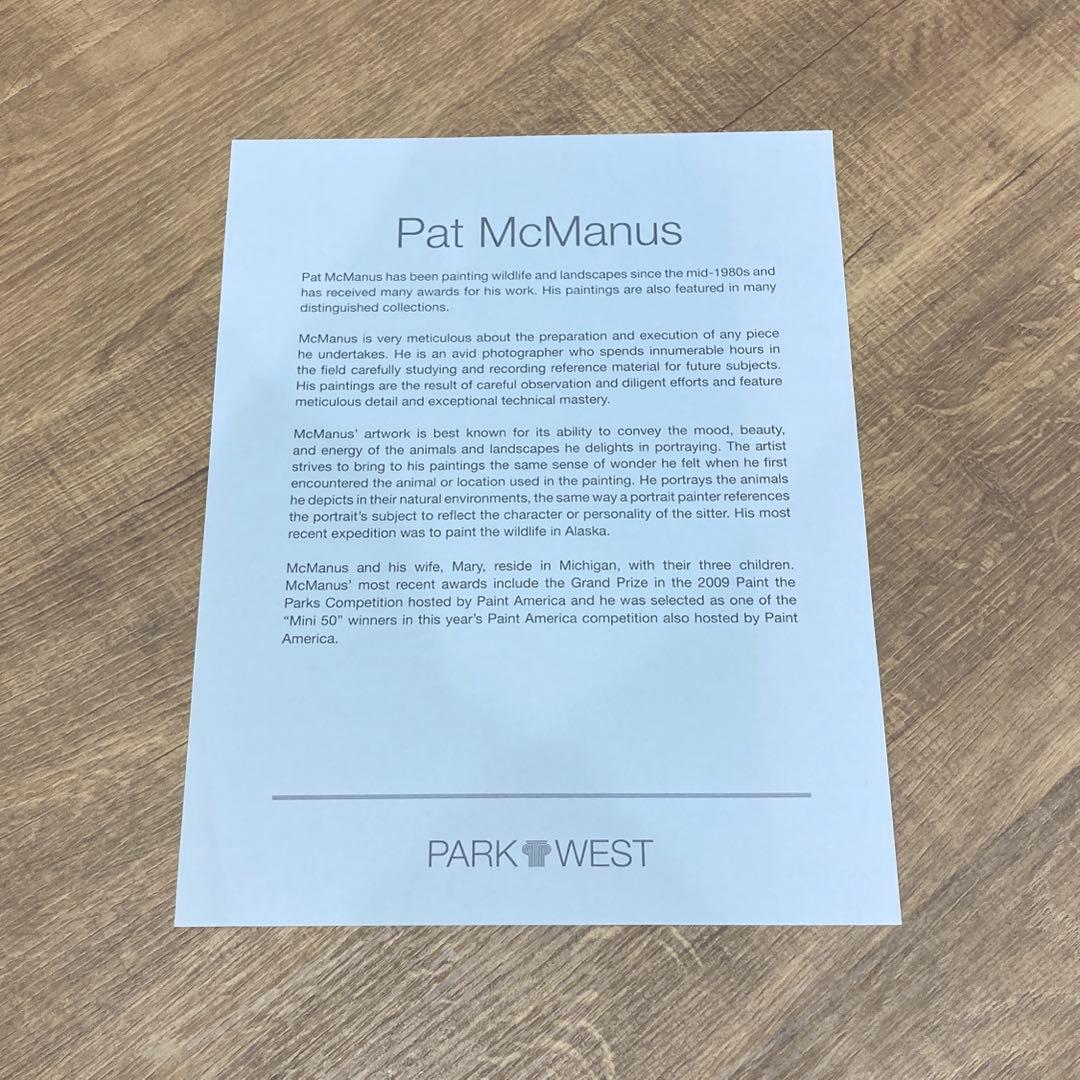 McManus 絵画　イラスト