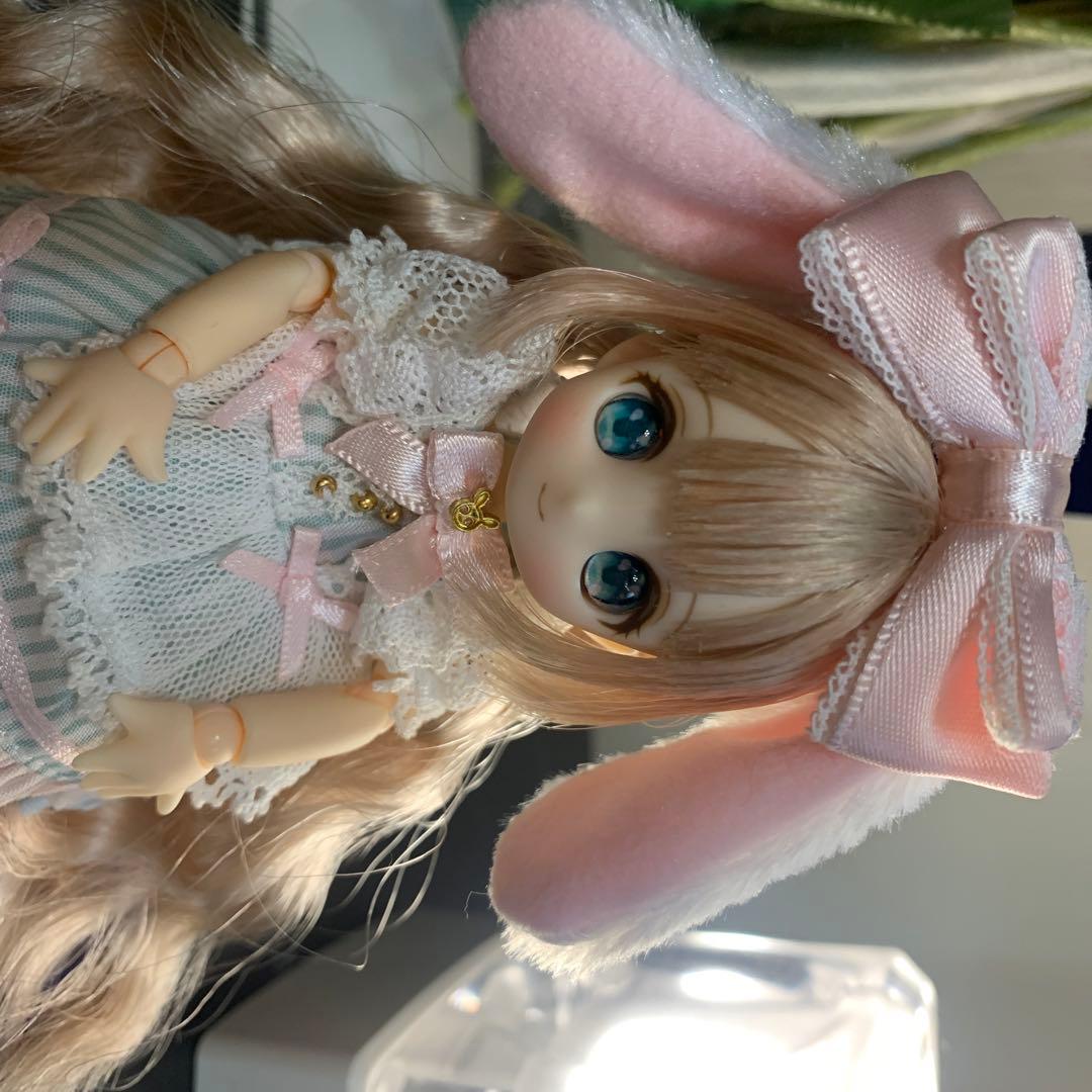 シュガーカップス ビスケティーナ アゾンダイレクトストア限定販売