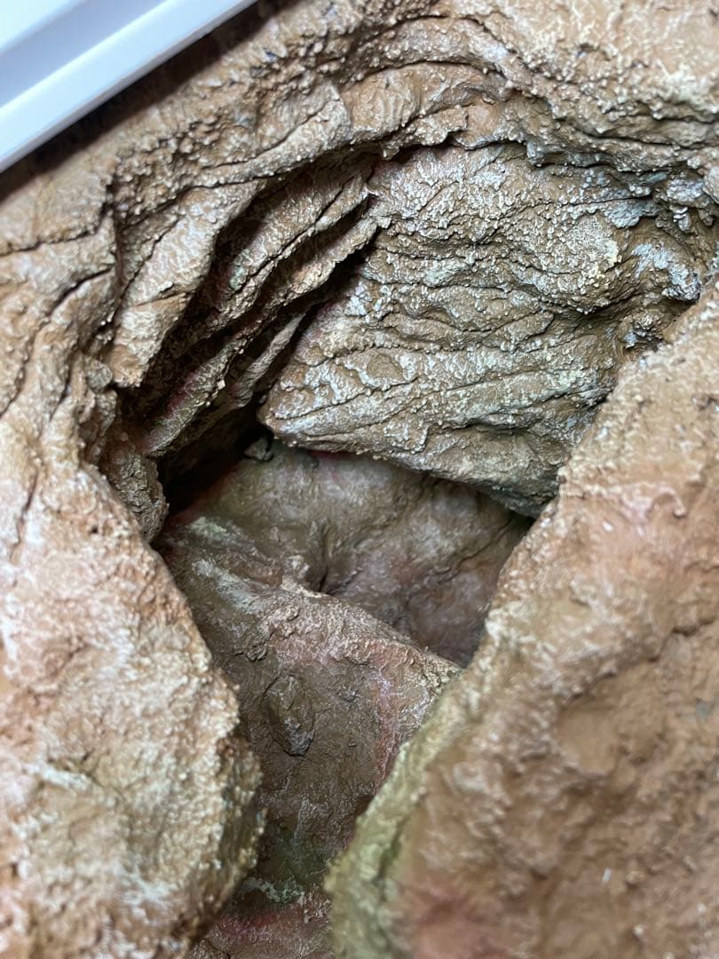 爬虫類レイアウト用品　爬虫類ケージ　ジオスペース