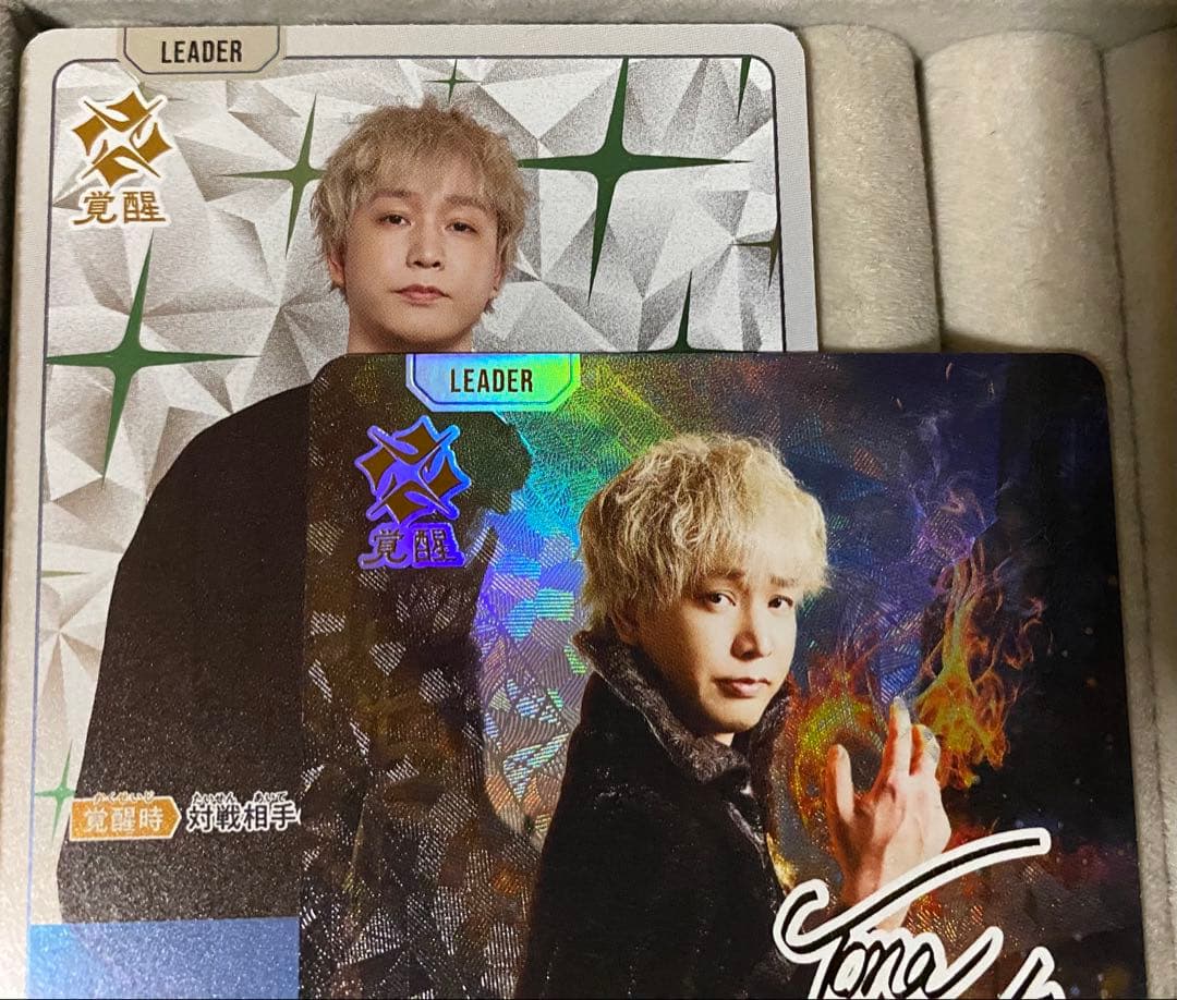 クロスタ　トナカイト　LRPP サインカード